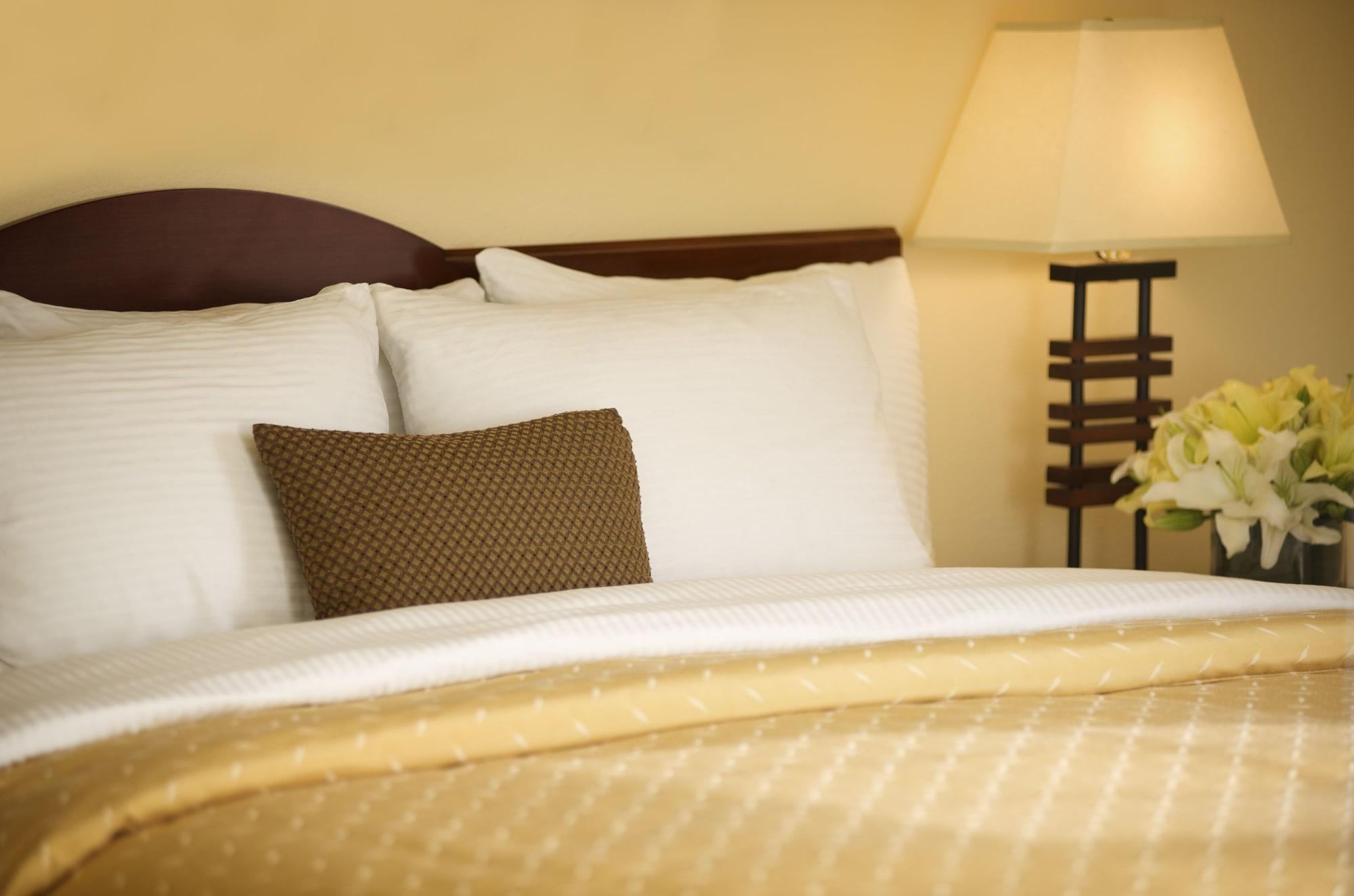 Larkspur Landing Extended Stay Suites בלוויו מראה חיצוני תמונה